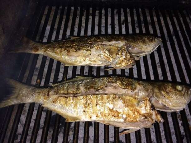 Imagen general del Assos Bahcivan Motel. Foto 3