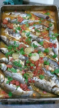 Imagen general del Assos Bahcivan Motel. Foto 5