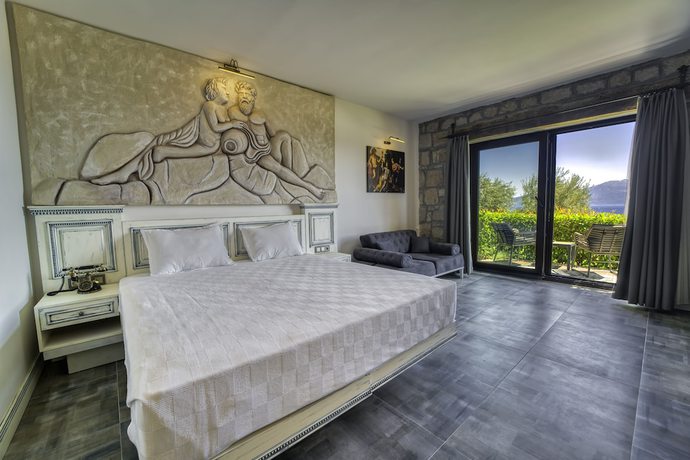 Imagen de la habitación del Assos Dionysos Hotel - Adults Only. Foto 16