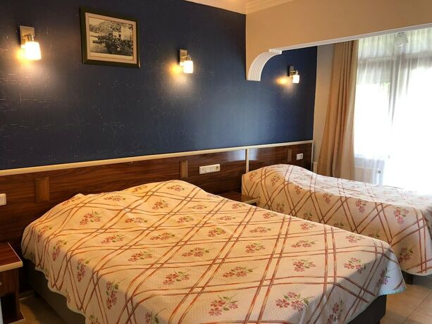 Imagen de la habitación del Assos Kadırga Otel. Foto 16