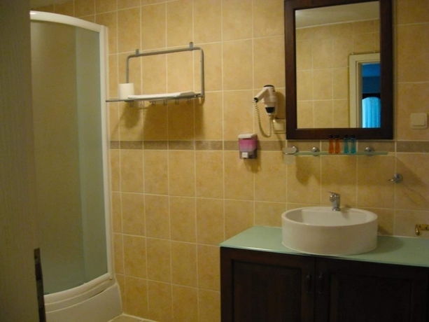 Imagen de la habitación del Assos Sardunya Butik Hotel. Foto 5