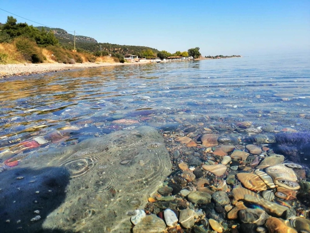 Imagen general del Assos Yali Butik Otel Restaurant. Foto 3