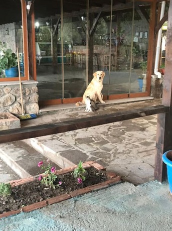 Imagen general del Assos Yenibahce Motel. Foto 2