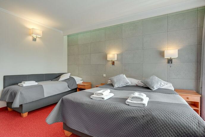 Imagen general del Aster, Wladyslawowo. Foto 19