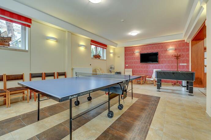 Imagen general del Aster, Wladyslawowo. Foto 50