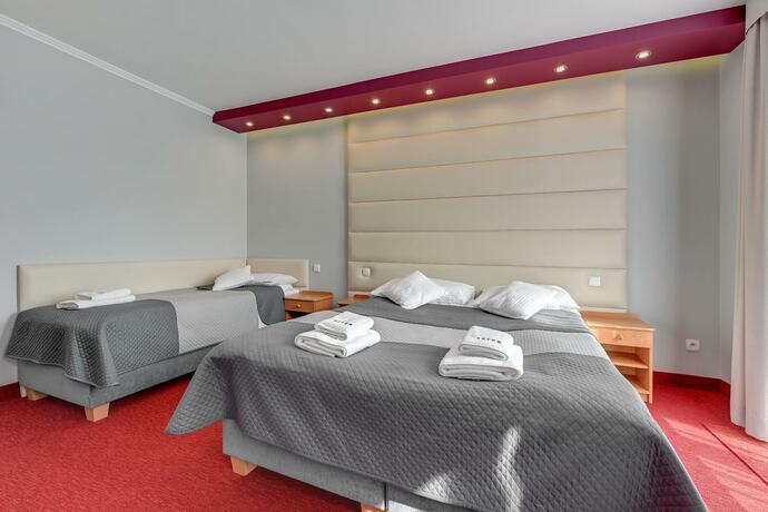 Imagen general del Aster, Wladyslawowo. Foto 61