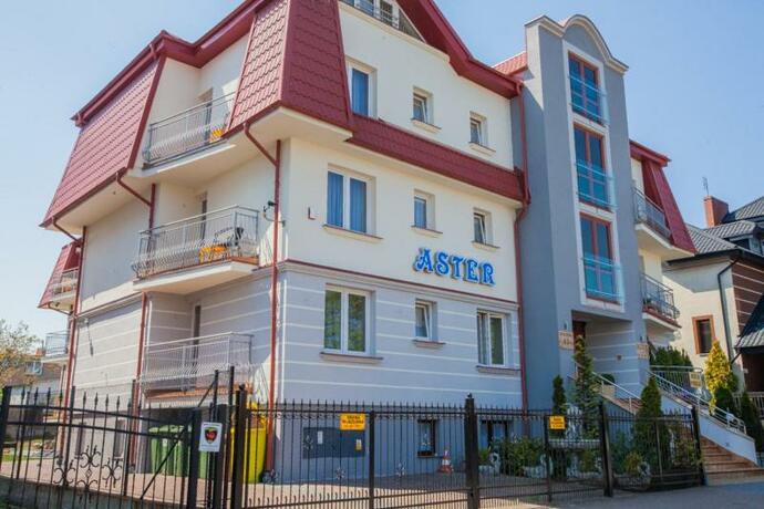 Imagen general del Aster, Wladyslawowo. Foto 91