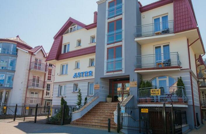 Imagen general del Aster, Wladyslawowo. Foto 92