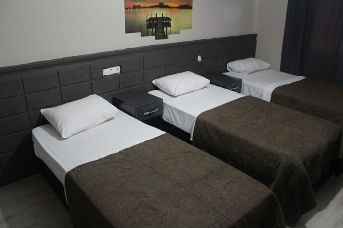 Imagen general del Asus Palmiye Otel. Foto 3