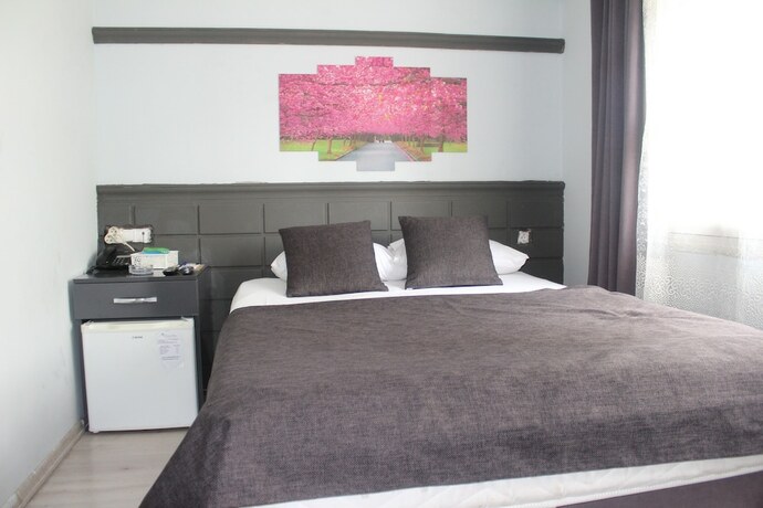 Imagen general del Asus Palmiye Otel. Foto 9