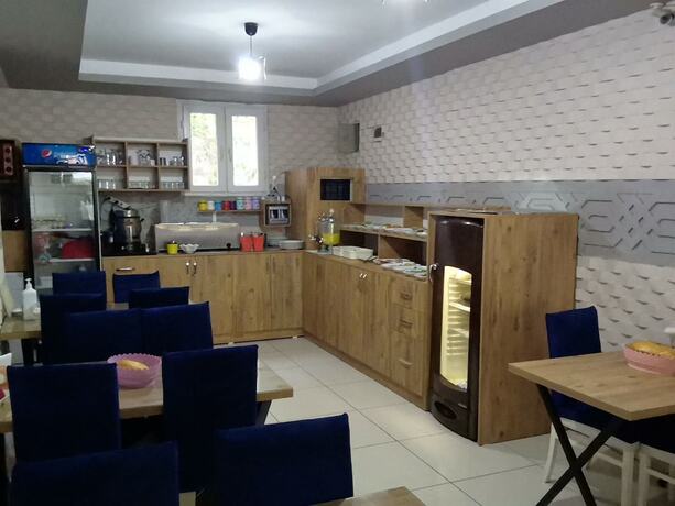 Imagen general del Asus Palmiye Otel. Foto 10