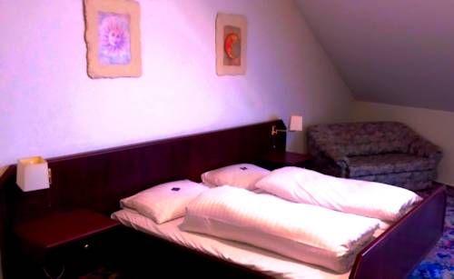 Imagen de la habitación del Ates Hotel Lampertheim. Foto 4