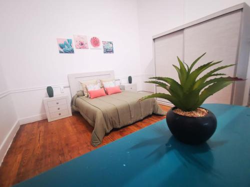 Imagen general del Atlantis Surf Hostel. Foto 6