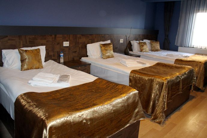 Imagen de la habitación del Atlas Hotel, Yakutiye. Foto 9