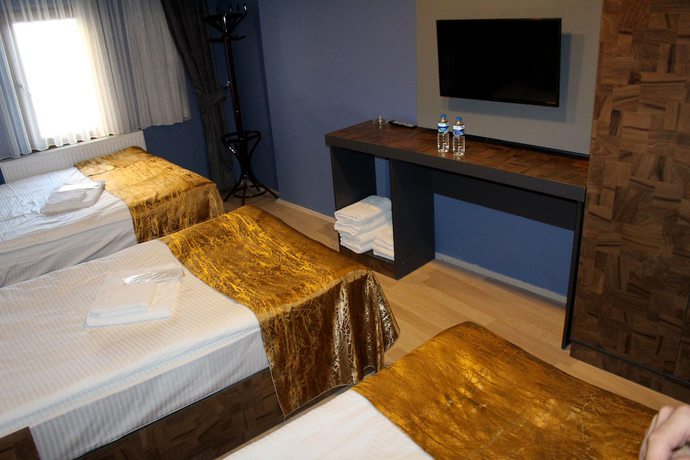 Imagen de la habitación del Atlas Hotel, Yakutiye. Foto 13