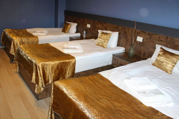 Imagen de la habitación del Atlas Hotel, Yakutiye. Foto 15