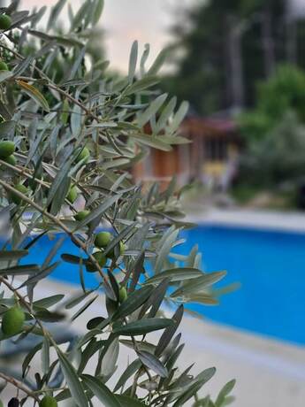 Imagen general del Atlas Pansiyon. Foto 4