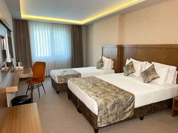 Imagen de la habitación del Atro Hotel. Foto 15