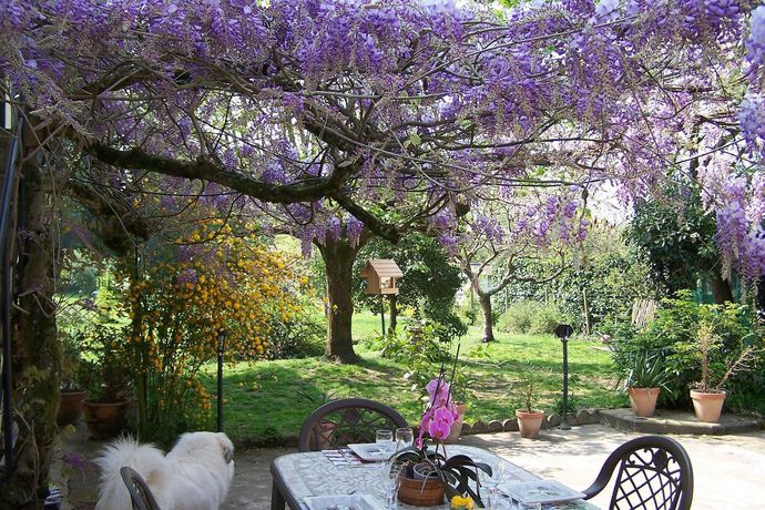 Imagen del bar/restaurante del Auberge De Chaussin. Foto 3