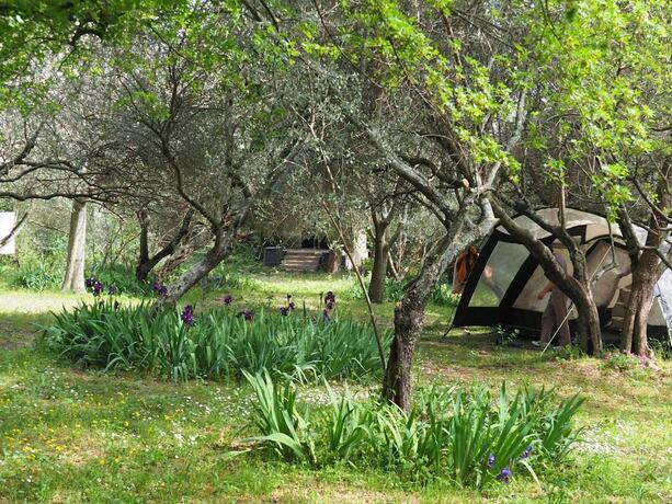 Imagen general del Auberge de Jeunesse HI N&icirc;mes. Foto 6