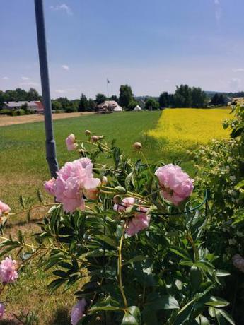 Imagen general del Autark-Camp Gleis A.. Foto 14