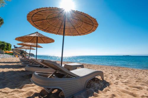 Imagen general del Avsa Artemis Hotel. Foto 12