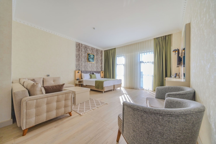 Imagen de la habitación del Ay&ccedil;i&ccedil;eği Comfort Hotel. Foto 9