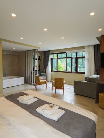 Imagen de la habitación del Ayder Altiparmak Suit. Foto 9