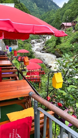 Imagen general del Ayder Avusor Butik Otel. Foto 7