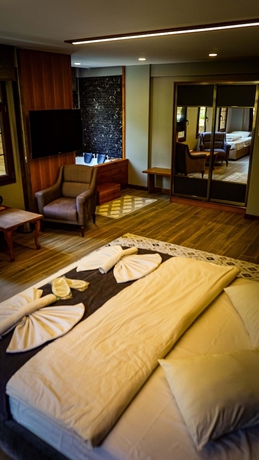 Imagen de la habitación del Ayder Kervansaray Deluxe Otel. Foto 6