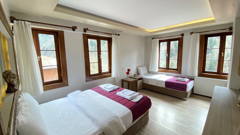Imagen de la habitación del Ayder Resort Hotel. Foto 18
