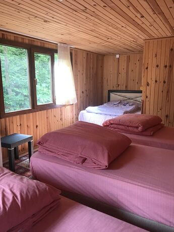 Imagen general del Ayder Selale Dag Evi. Foto 3