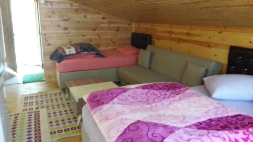 Imagen de la habitación del Ayder Selale Dag Evi. Foto 16