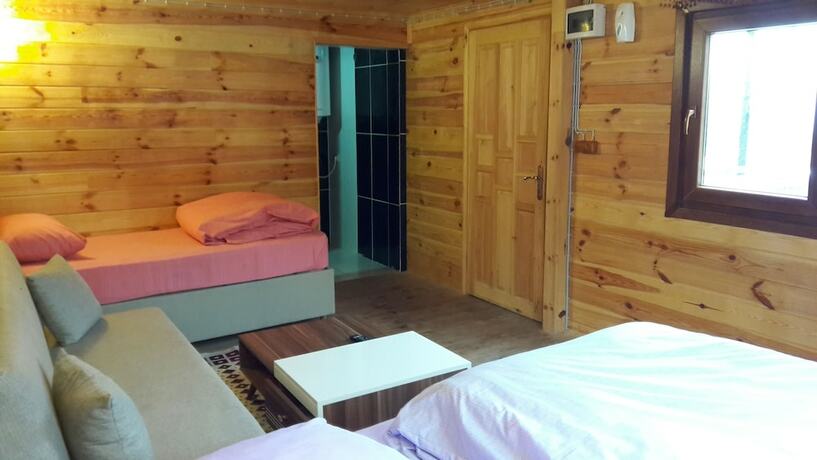 Imagen de la habitación del Ayder Selale Dag Evi. Foto 17