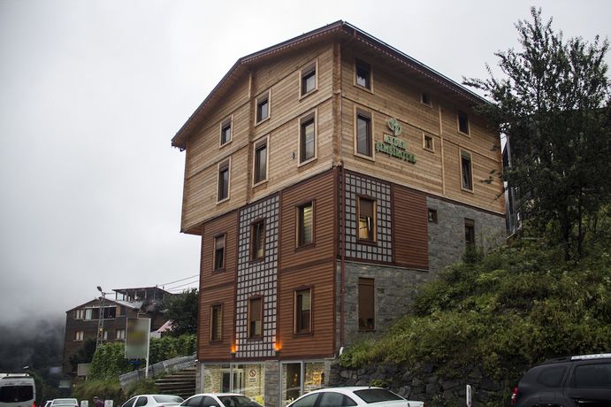 Imagen general del Ayder Simsir Butik Hotel. Foto 1