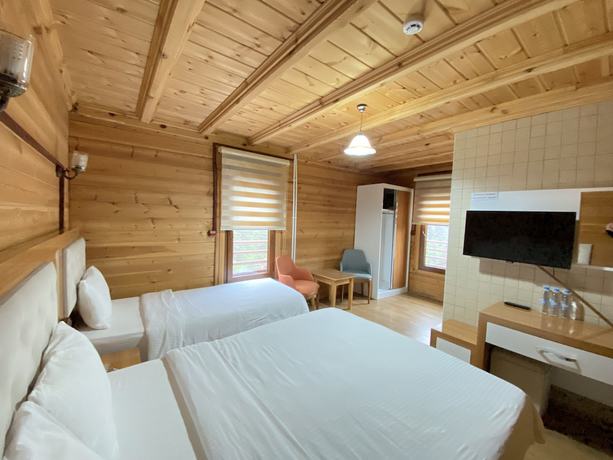 Imagen de la habitación del Ayder Simsir Butik Hotel. Foto 7
