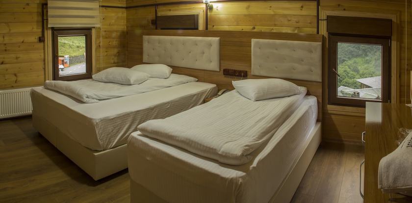 Imagen de la habitación del Ayder Simsir Butik Hotel. Foto 11