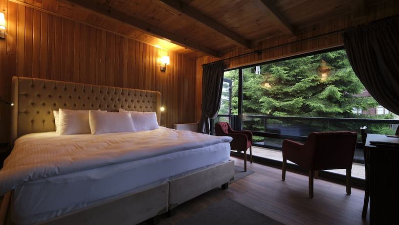 Imagen de la habitación del Ayder Villa de Pelit Hotel. Foto 7