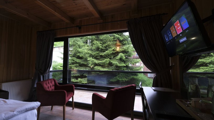 Imagen de la habitación del Ayder Villa de Pelit Hotel. Foto 20