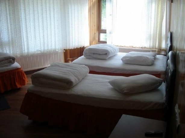 Imagen de la habitación del Ayder Yesil Vadi Otel. Foto 13