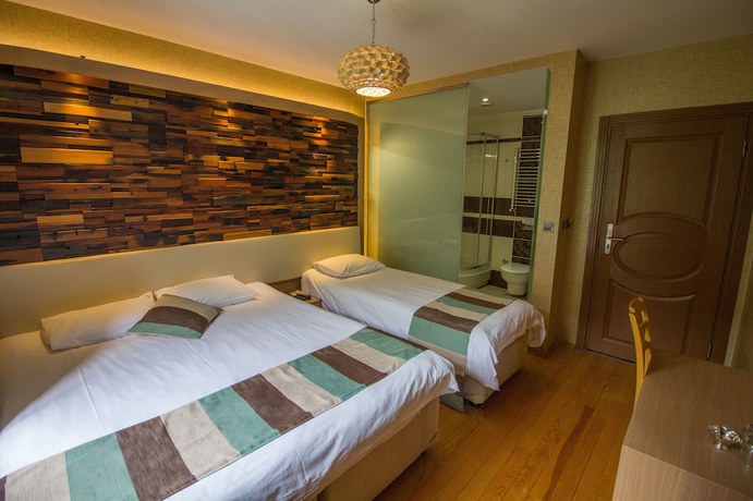 Imagen de la habitación del Ayderoom Hotel. Foto 17