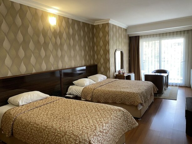Imagen de la habitación del Aydın Park Otel. Foto 8