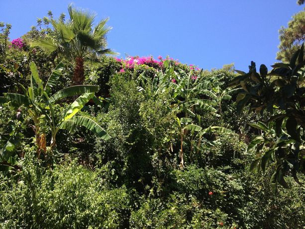 Imagen de los exteriores del Aygul Hotel. Foto 10