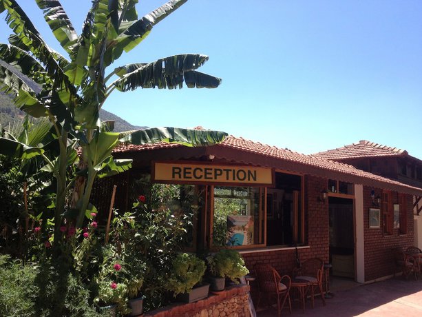 Imagen de los interiores del Aygul Hotel. Foto 12