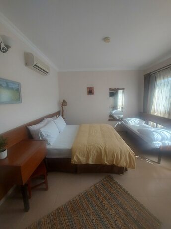 Imagen de la habitación del Ayisigi Otel. Foto 19