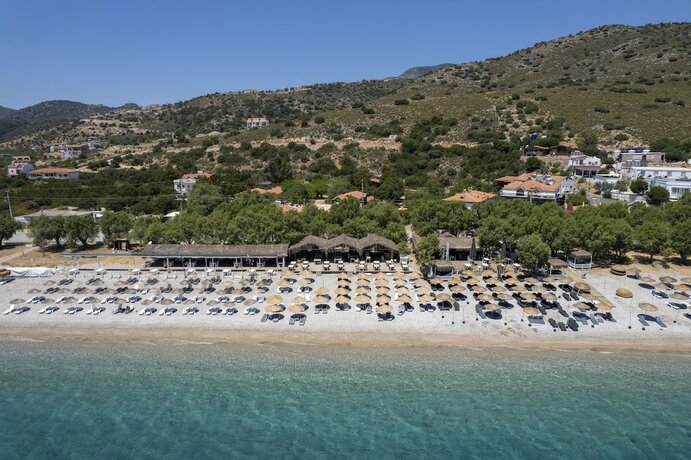 Imagen general del Aylin Ahşap Evler Palamutbükü. Foto 6