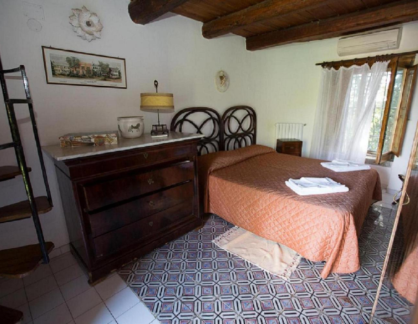 Imagen general del Azienda Agrituristica Seliano. Foto 10