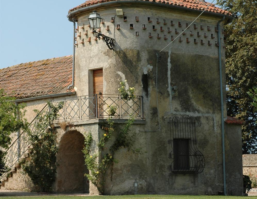 Imagen general del Azienda Agrituristica Seliano. Foto 12