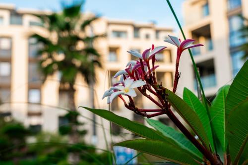 Imagen general del Azur Premium Resort. Foto 4