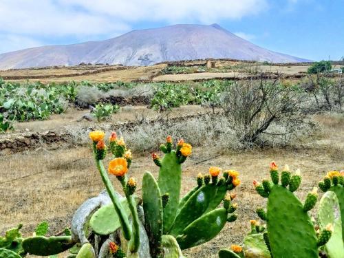 Imagen de los exteriores del BACK TO NATURE. Luxury Glamping Corner. Foto 10